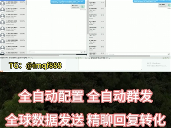 iM群发系统帮助你快速扩展海外客户!