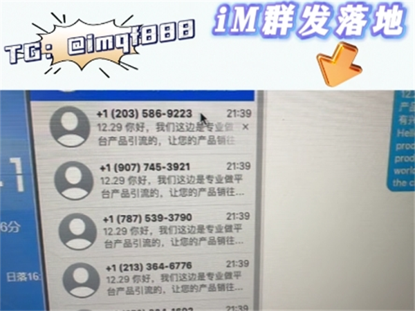 苹果iMessage群发软件如何降低国际短信群发的风险?