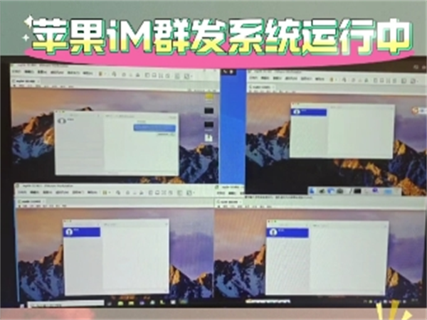 43517450.png 976.png